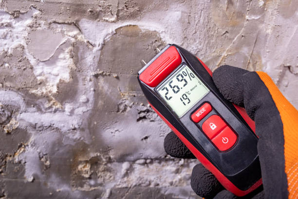 Best Office Mold Removal Services  in Louisvle, IL