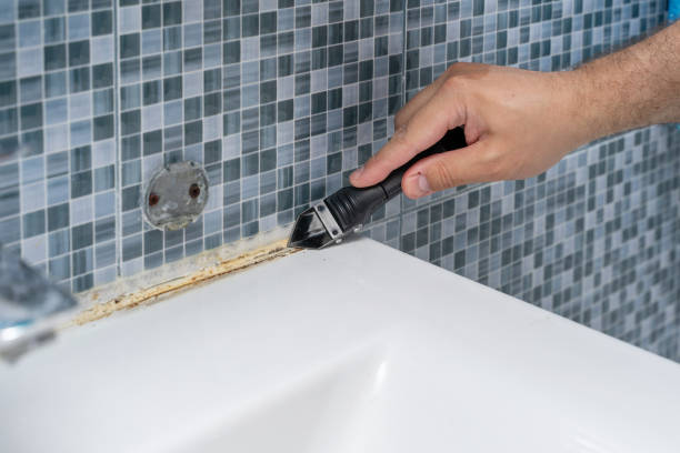  Louisvle, IL Mold Removal Pros