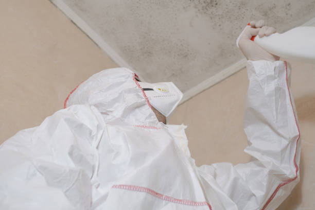 Best Crawl Space Mold Removal  in Louisvle, IL